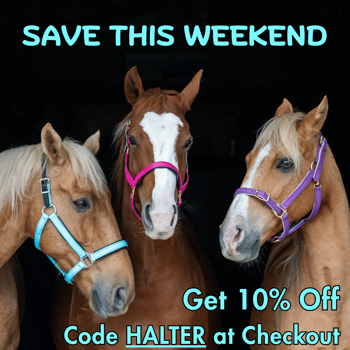 10% OFF For Halter Week